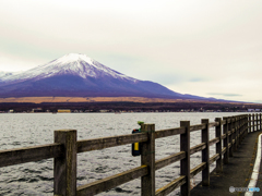 もう少しで真っ白？