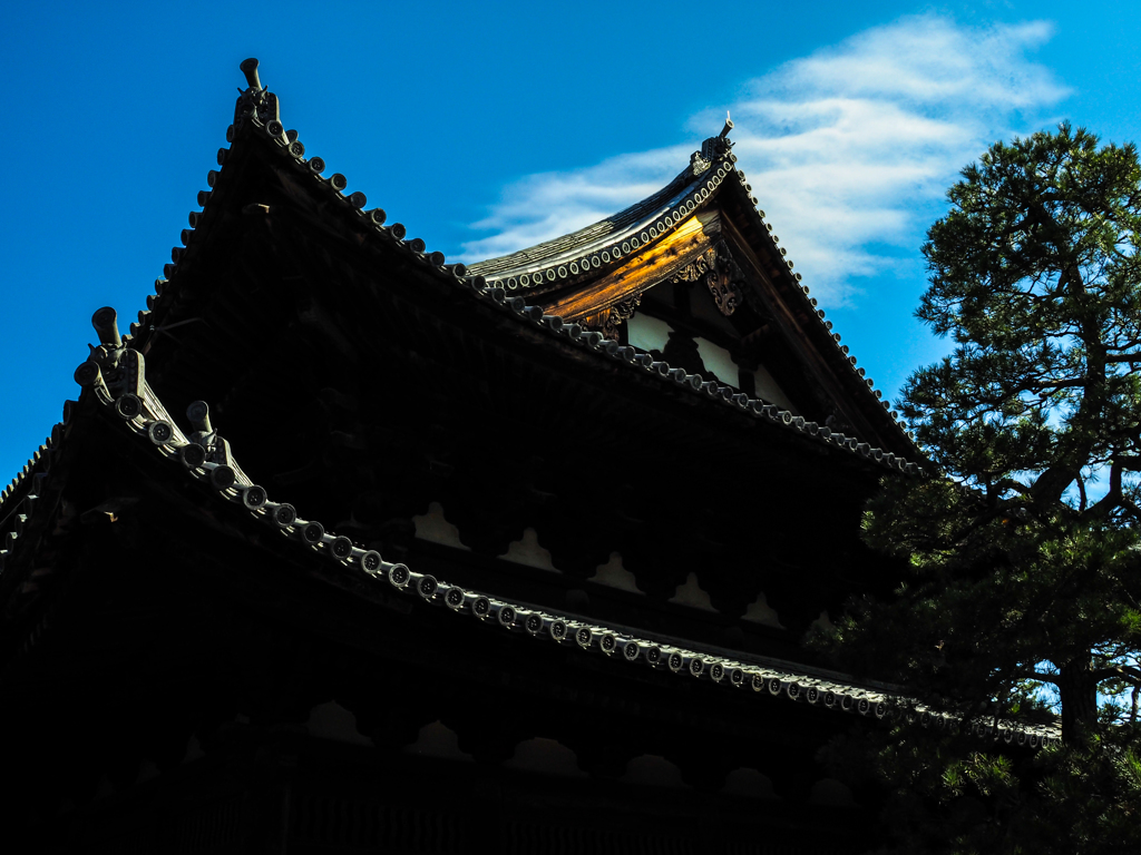 威厳・大徳寺