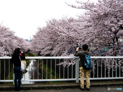 みなさん、スマホですね～