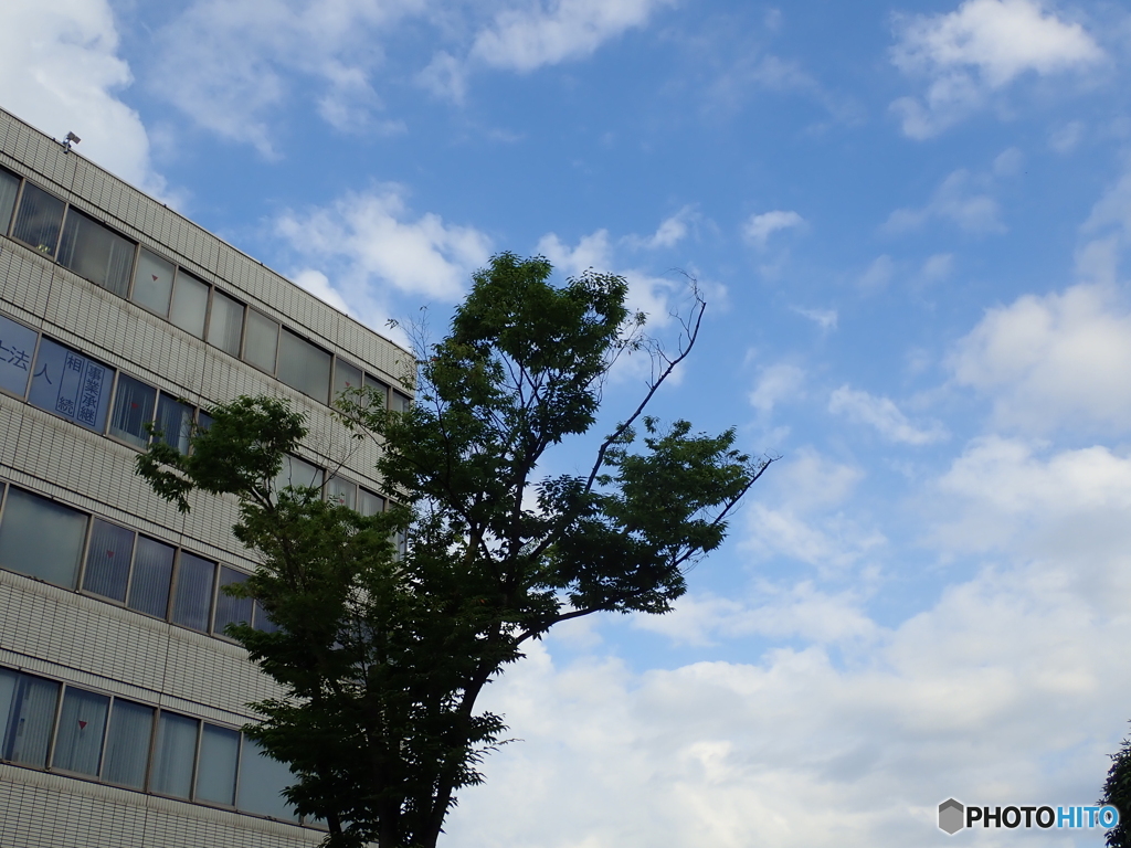 梅雨の晴れ間