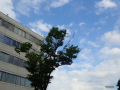 梅雨の晴れ間