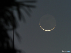 夜明け前の月