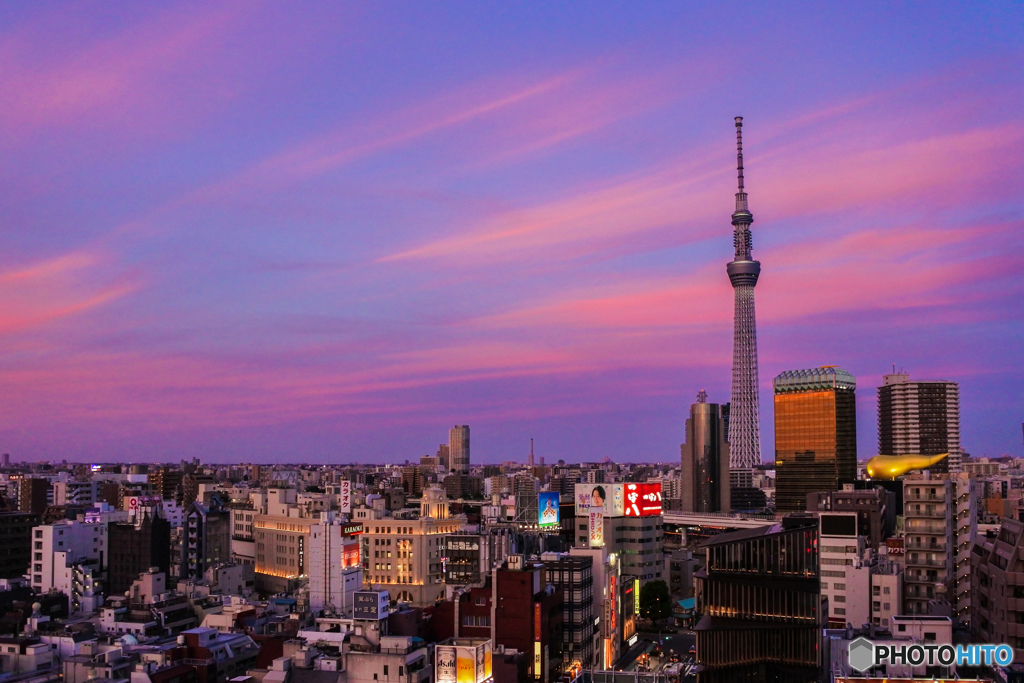 夕焼け、似合いますね～