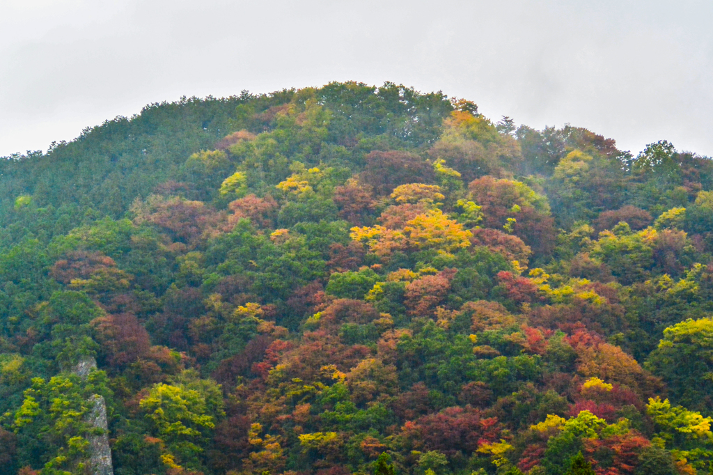 紅葉の山