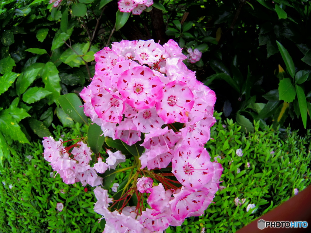 Fisheye遊び　その２