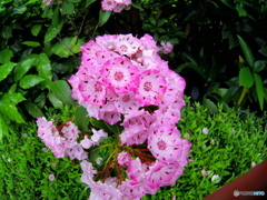 Fisheye遊び　その２