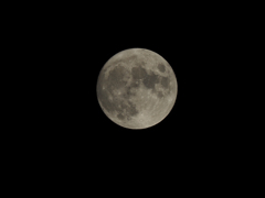中秋の名月前夜