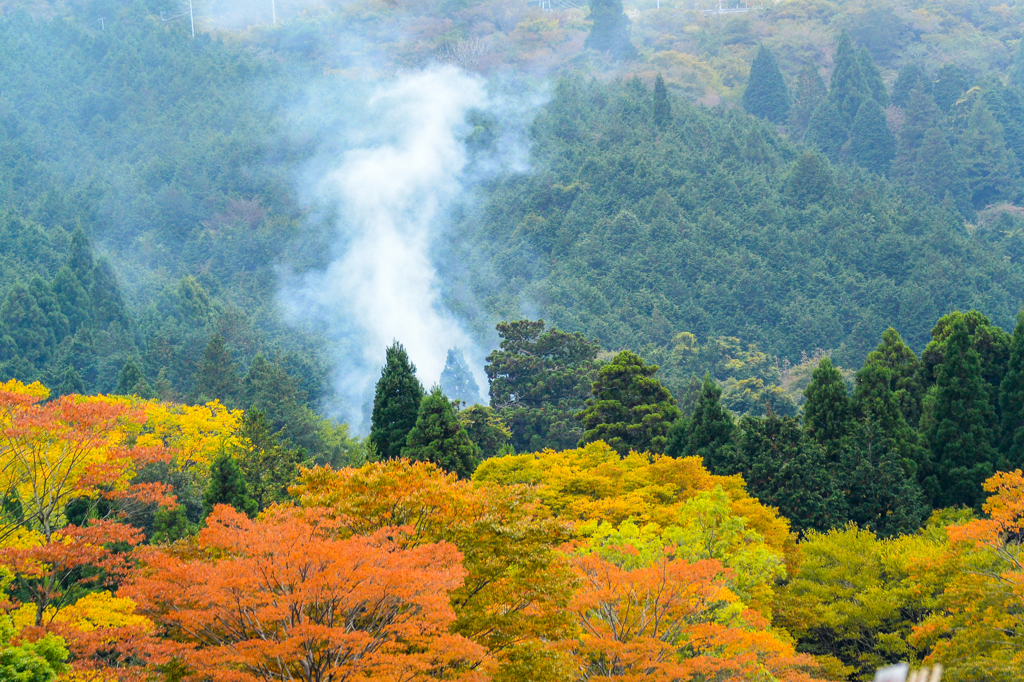 紅葉・芦ノ湖畔