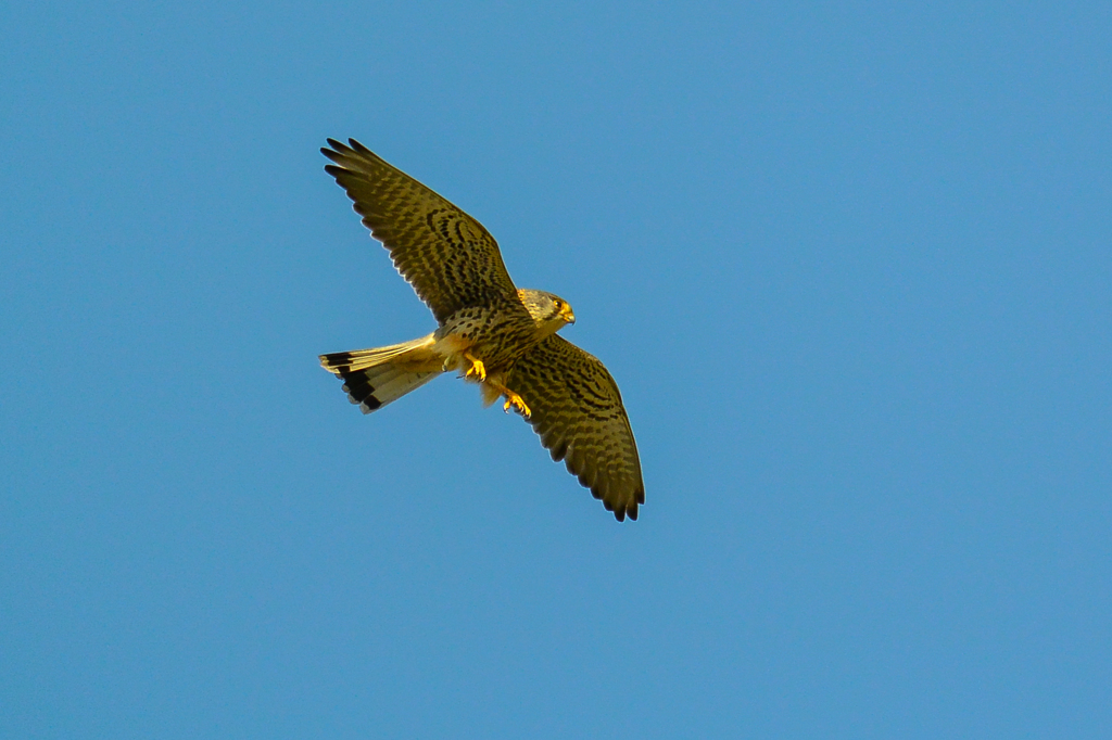 狩りの準備(^^♪