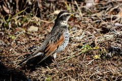 気を付け！　いい姿勢でしょ(^_-)-☆