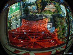 東京タワーの下は(^^♪