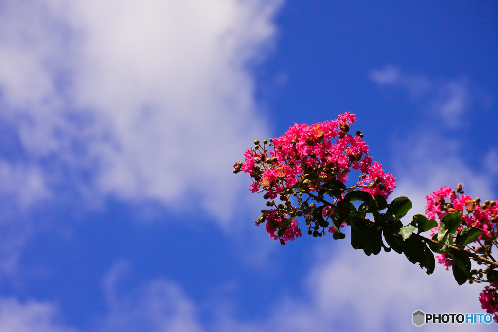 碧空に映える(^^♪
