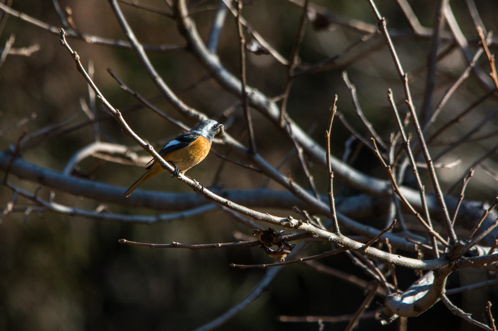 食事中～～(^^♪