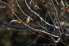 食事中～～(^^♪
