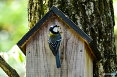 子育て開始(^^♪