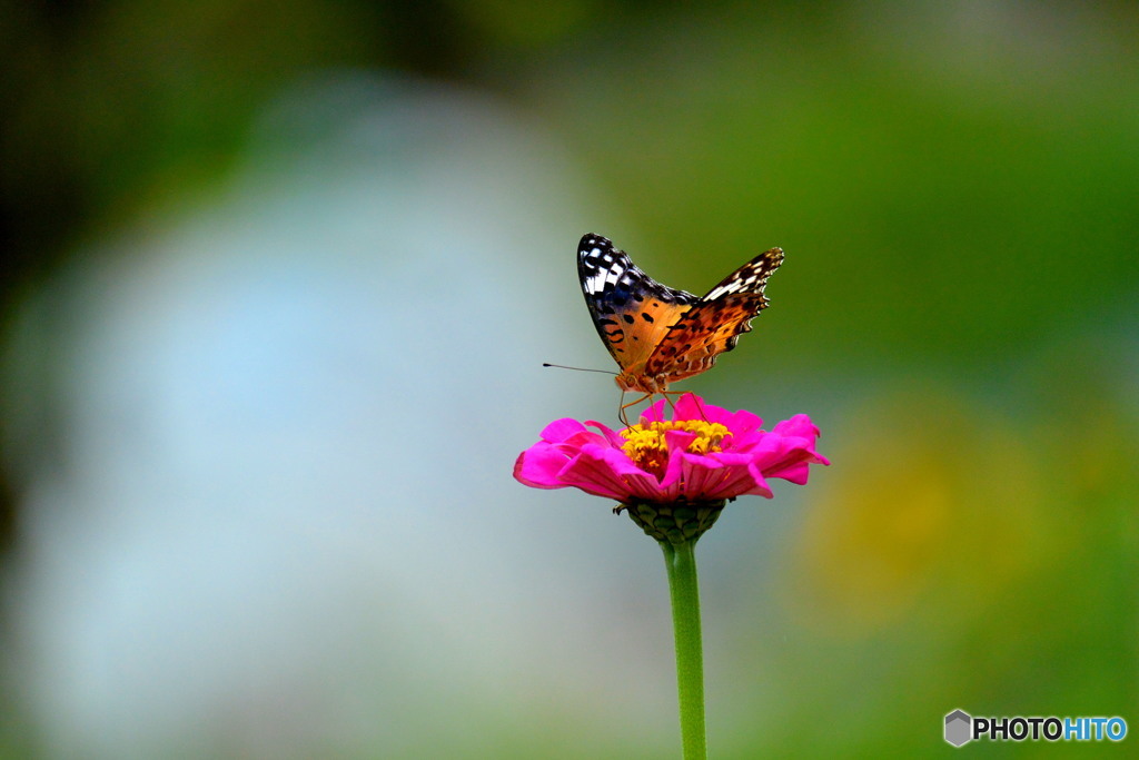 暑さの中で(^_-)-☆