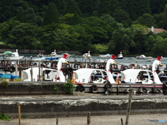 白鳥！待機中～～