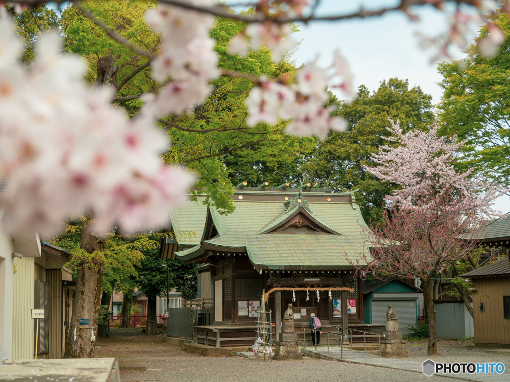 神社にて