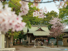 神社にて