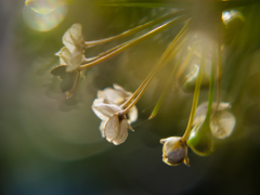 ファンタジック