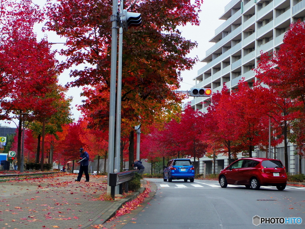 紅葉その２