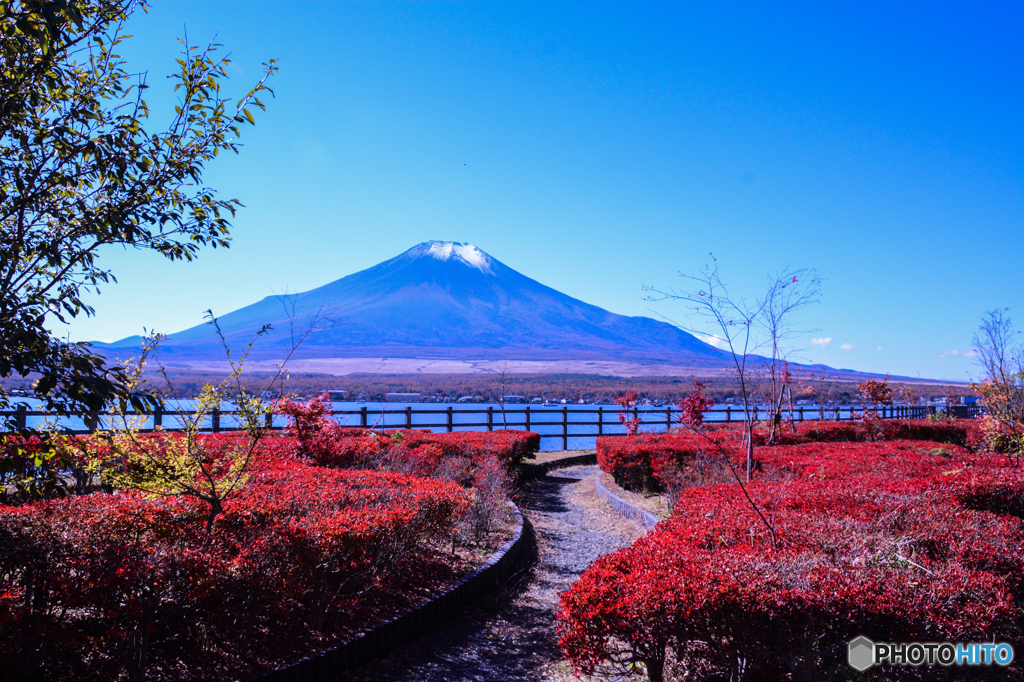 紅葉富士(^^♪