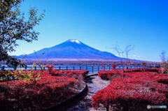 紅葉富士(^^♪