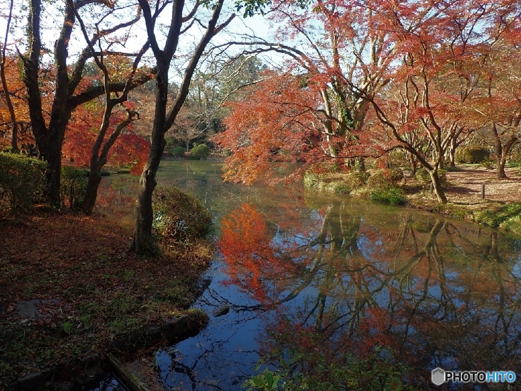 まだまだ紅葉(*^^)v