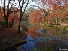 まだまだ紅葉(*^^)v