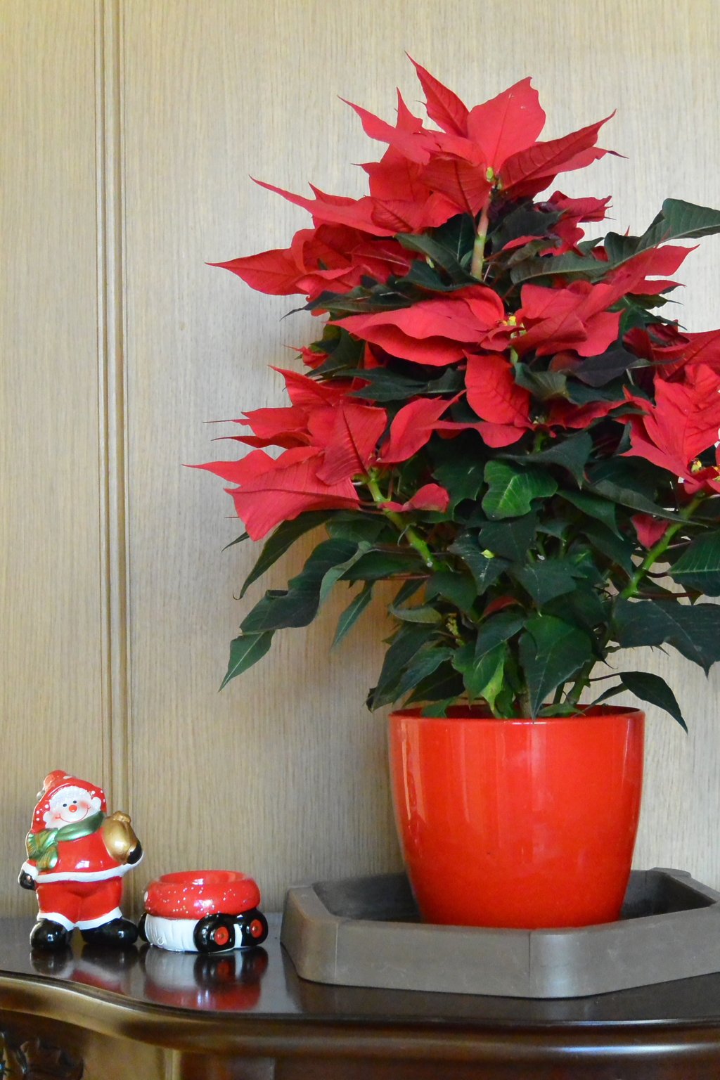 クリスマスらしさ(^^♪