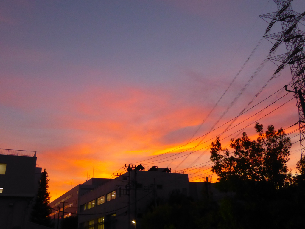 夕焼け
