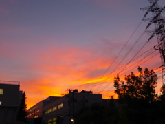 夕焼け