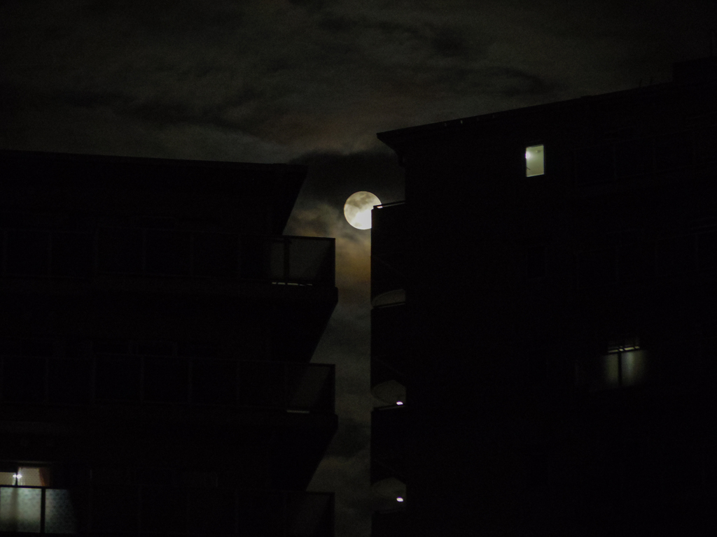 小さい月だそうです(^_-)-☆