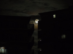 小さい月だそうです(^_-)-☆