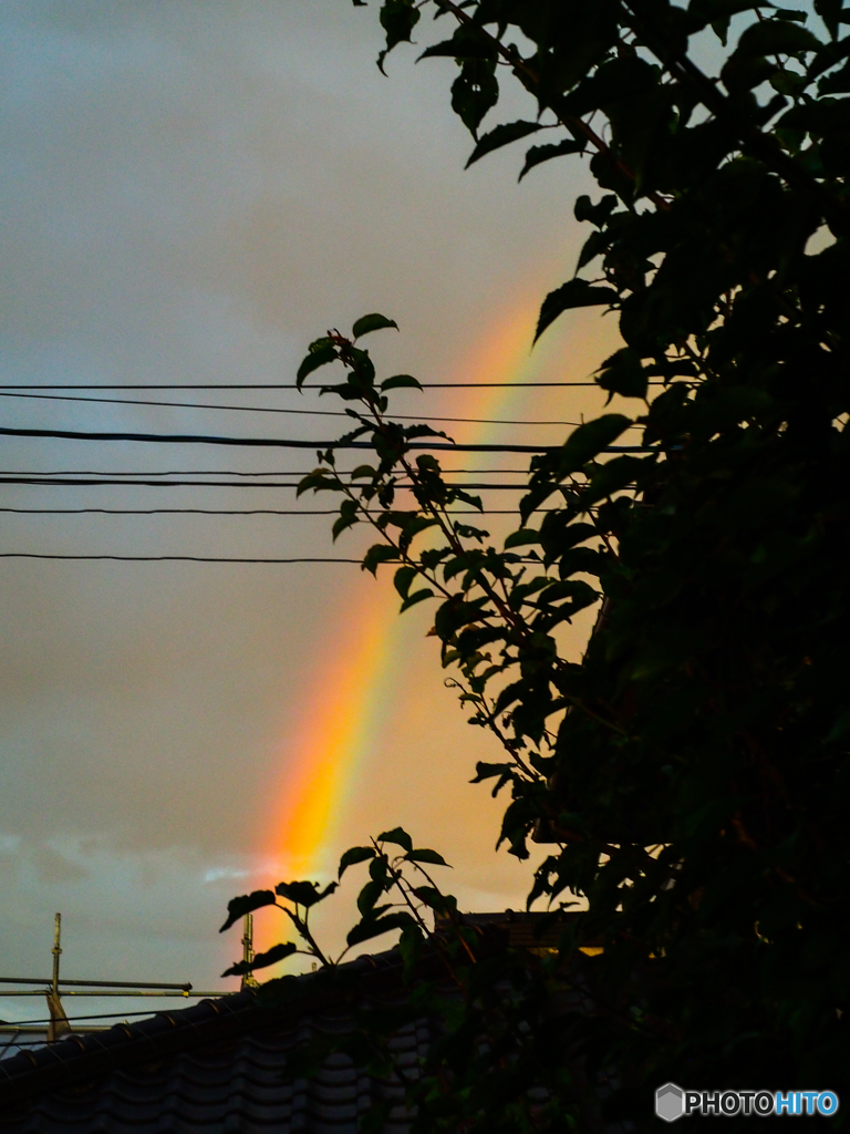 虹 - 朝日が・・・