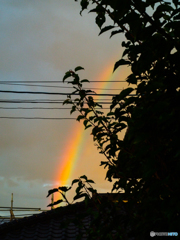 虹 - 朝日が・・・