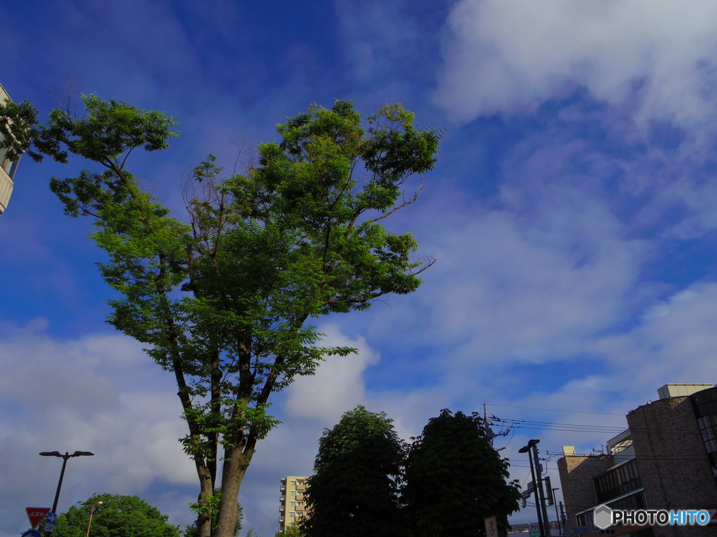 久しぶりの青空