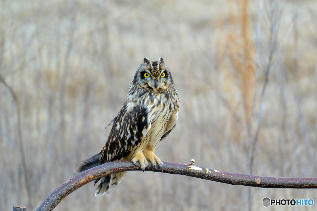 淀川に行ってきました(^_-)-☆