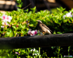 最近、おおいですね～～