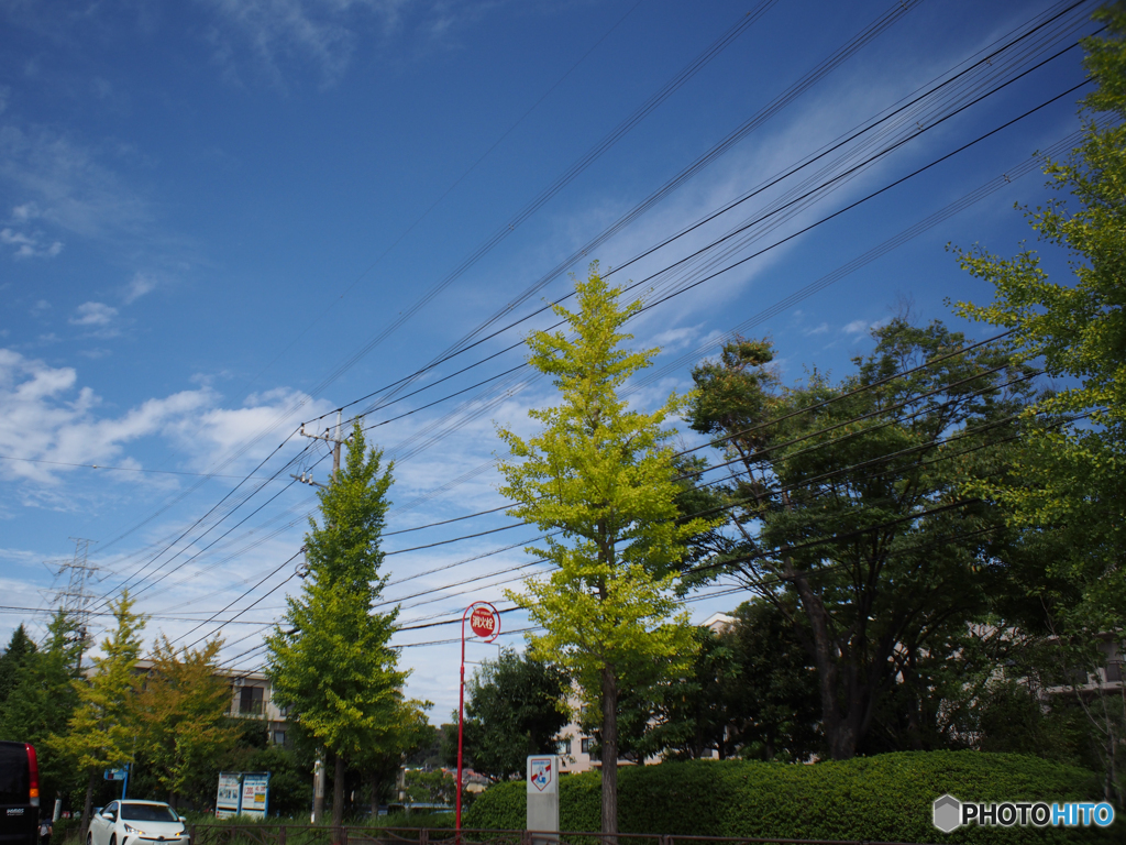 秋空