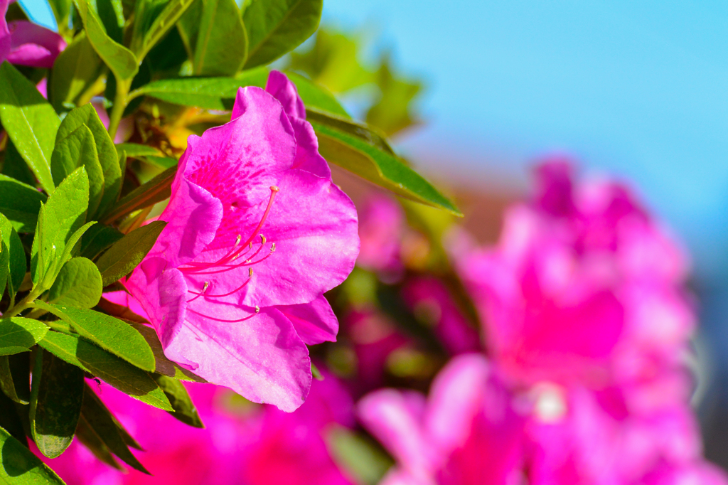 きらめき(^_-)-☆