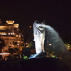 夜のマーライオン