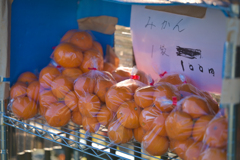 みかん