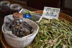 バタフライピーの種