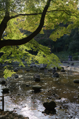 水面