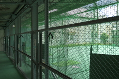 バッティングセンター