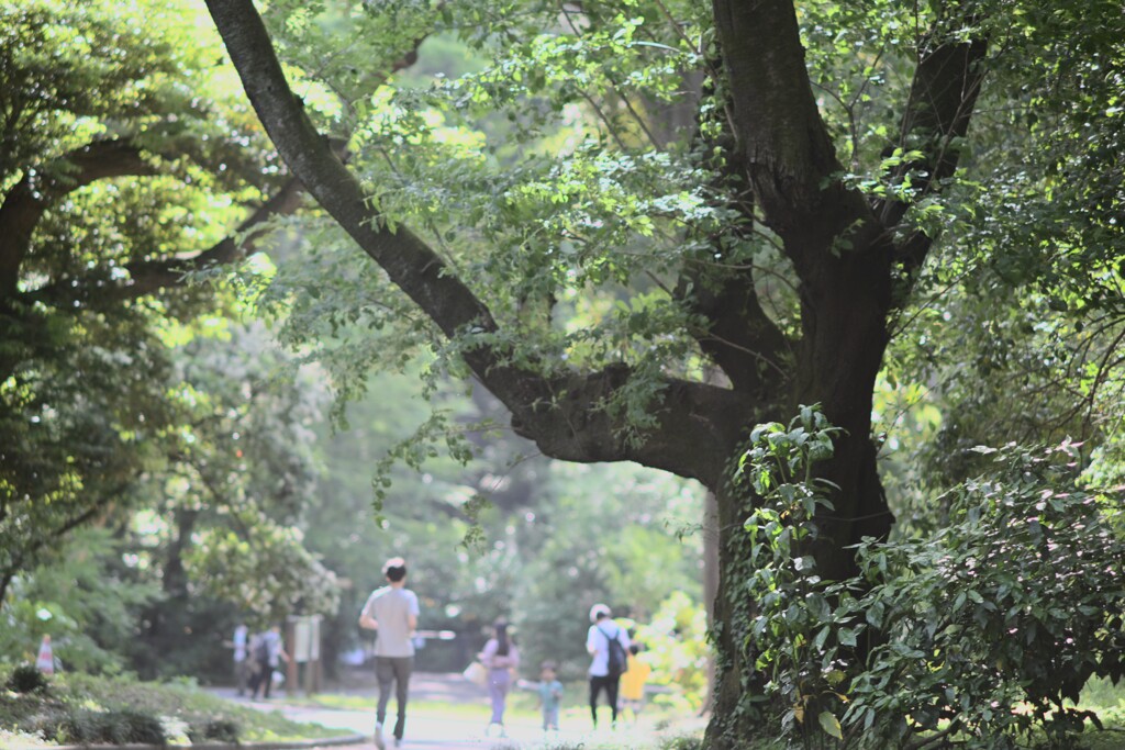 新宿御苑