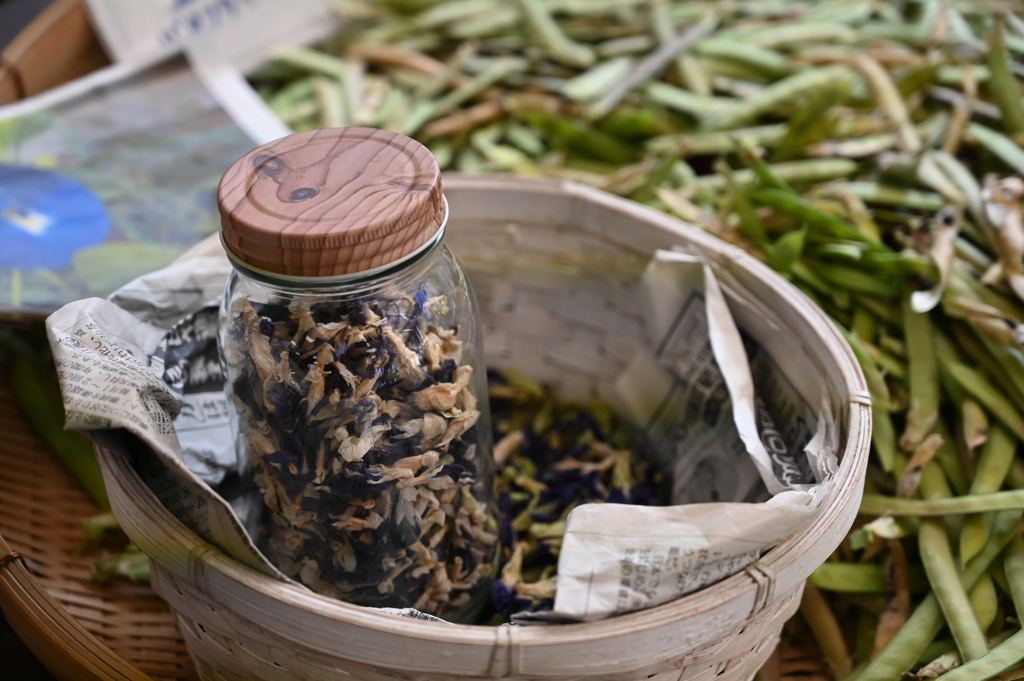 バタフライピーの種２