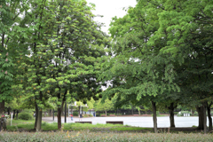 公園