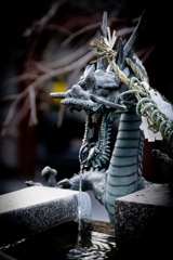 手水舎の龍